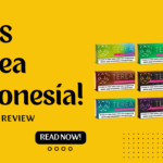 IQOS Terea Indonesia Flavor Review in Dubai!